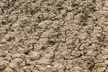 Image showing plowed agricultural field