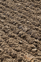 Image showing plowed land, close-up