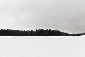 Image showing fog in winter