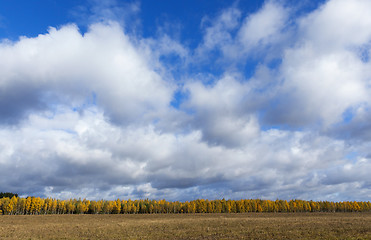 Image showing Nature in autumn season