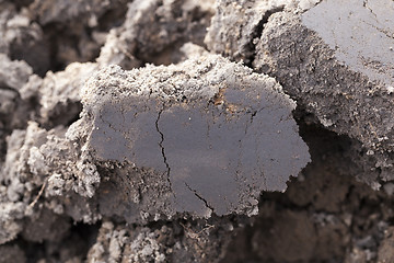 Image showing plowed agricultural field