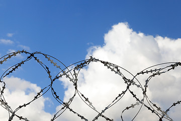 Image showing old barbed wire
