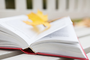 Image showing open book on bench in autumn park