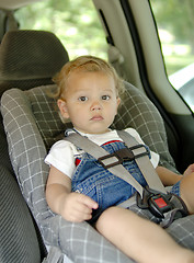 Image showing Baby in Car Safety Seat