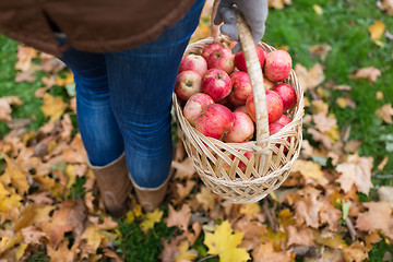 Image showing woman with basket of apples at autumn garden