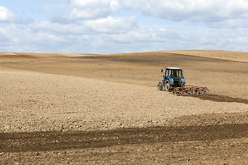 Image showing agricultural field with cereal