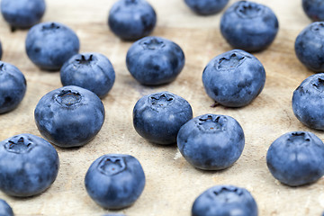 Image showing mature blueberry berries