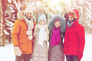 Image showing group of smiling men and women in winter forest