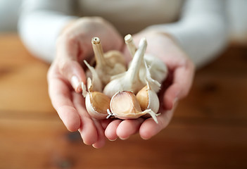 Image showing woman hands holding garlic