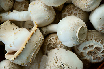 Image showing fresh white champignons