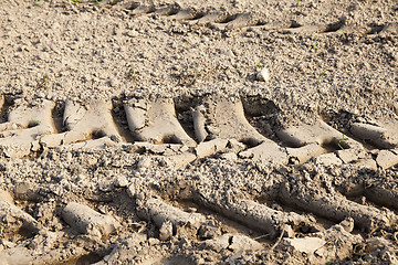 Image showing Wheel tracks on the field