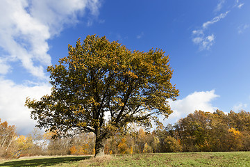 Image showing Nature in autumn season