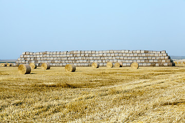 Image showing haystacks in a field of straw