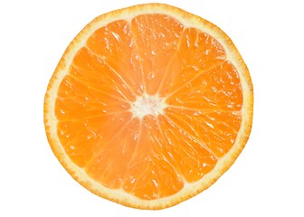 Image showing Mandarin