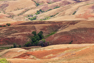 Image showing Traditional Madagascar hill landscape