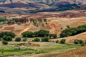 Image showing Traditional Madagascar hill landscape