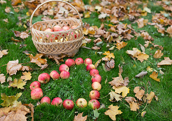 Image showing apples in heart shape and autumn leaves on grass