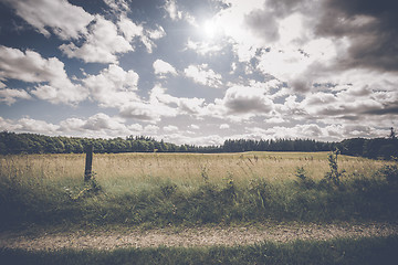 Image showing Roadside fence by a countryside meadow