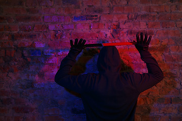 Image showing Thief standing with raised arms