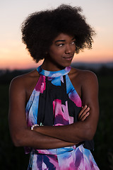 Image showing portrait of a young African-American woman in a summer dress