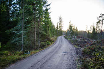 Image showing Winding gravel road through the woods