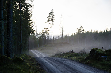 Image showing Gravel road by a misty evening
