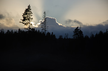 Image showing Dramatic forest and clouds silhouettes