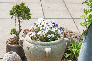 Image showing Garden ornament with flower pots