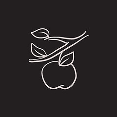 Image showing Apple harvest sketch icon.