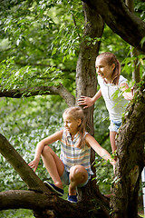 Image showing two happy girls climbing up tree in summer park