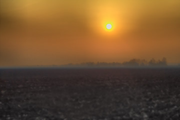 Image showing Autumn field in  light of  sunrise