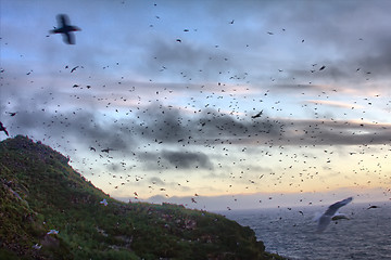 Image showing Sunset over ocean Islands 1. Aleuts-Commander island ridge. Pacific ocean