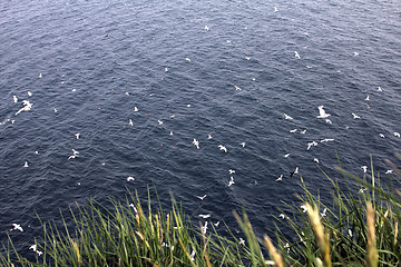 Image showing Invitation to marine journey. View of sea from high cliff. Islands in Pacific ocean