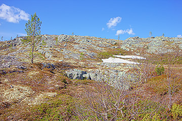 Image showing Mountain tundra in Lapland