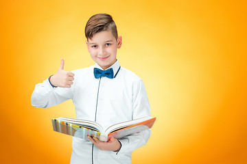 Image showing The boy with book