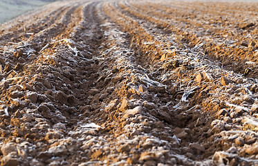 Image showing plowed land, frost