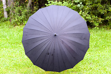 Image showing black umbrella with drops