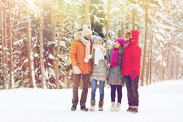 Image showing group of smiling men and women in winter forest