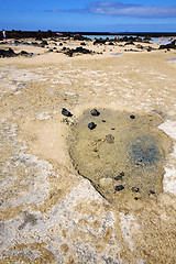 Image showing people spain  hill yellow  beach  spiral of black rocks   lanzar