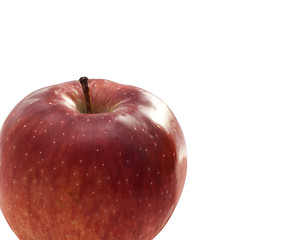 Image showing apple