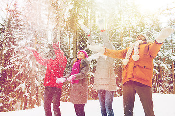 Image showing group of smiling men and women in winter forest