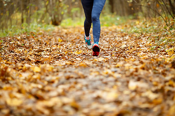 Image showing Woman in sneakers running autumn