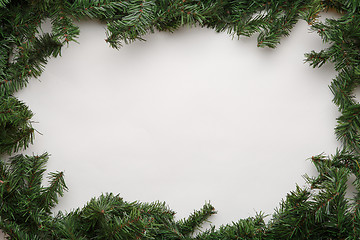 Image showing Spruce branches on white background