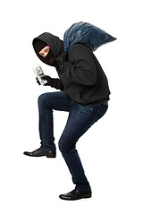 Image showing Burglar slinking money and bag