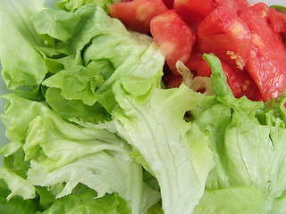 Image showing Salad background