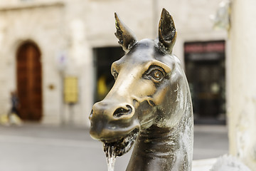 Image showing Fountain statue Ascoli Piceno