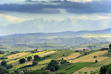 Image showing Typical landscape near Offida