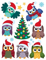 Image showing Christmas owls thematic set 1