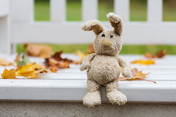 Image showing toy rabbit on bench in autumn park