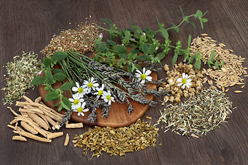 Image showing Herbs for Anxiety and Sleeping Disorders